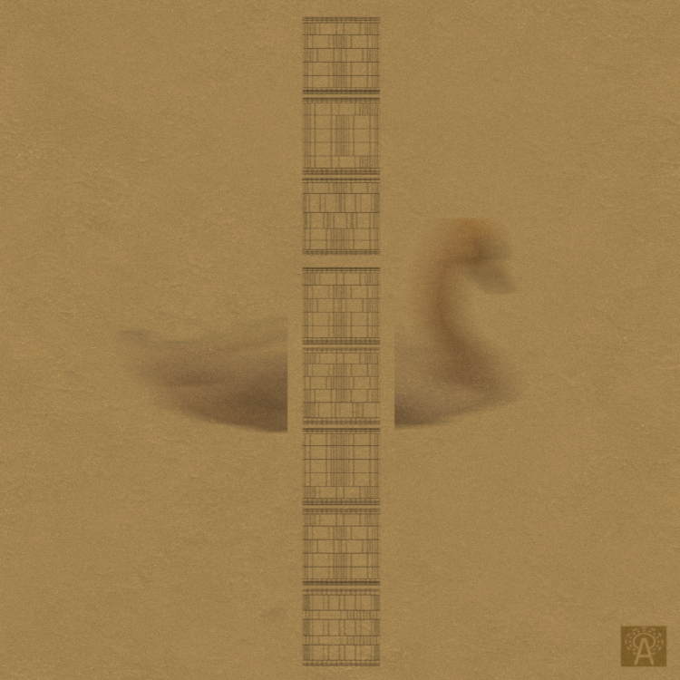 Aquae Cover